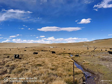 心系山河情，追夢阿里行！